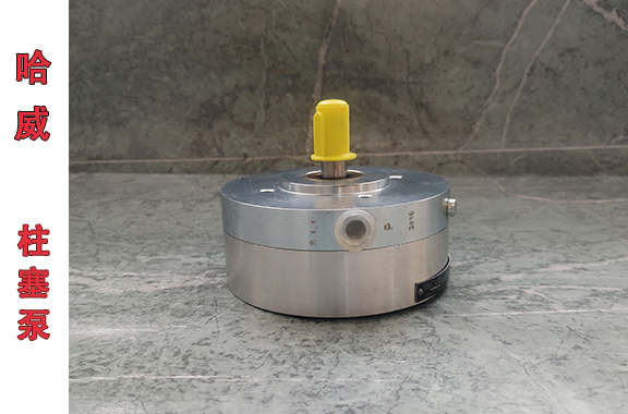 起重設(shè)備 /礦山設(shè)備-哈威R1.1柱塞泵